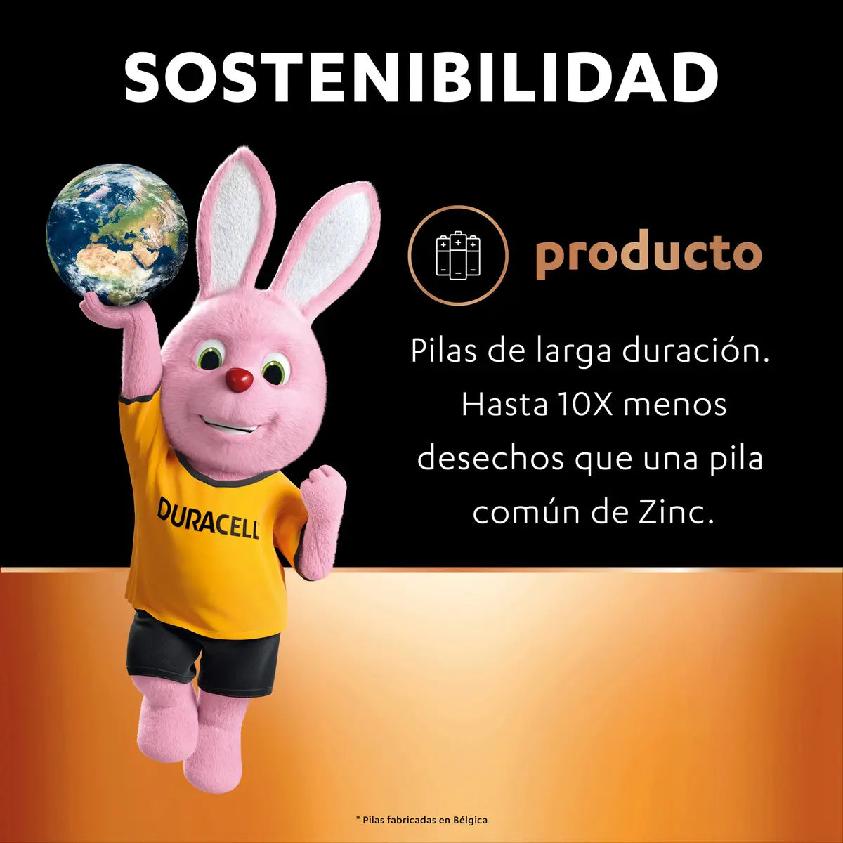 Pila Duracell 2 unidades AA
